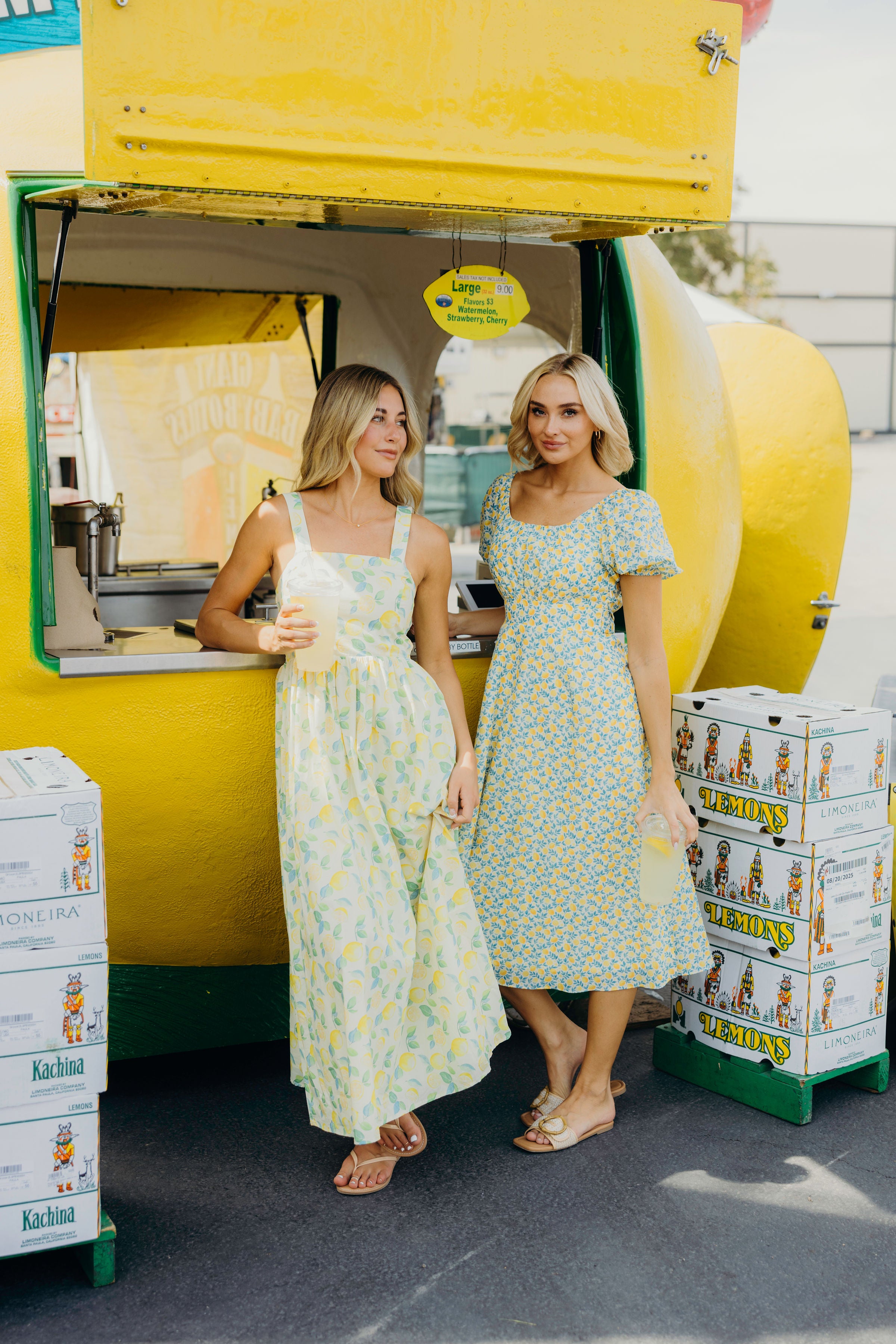 Modest Dresses for Summer – Mikarose Clothing