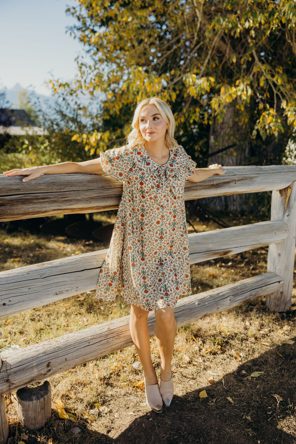 THE SABLE IN RETRO MARIGOLD