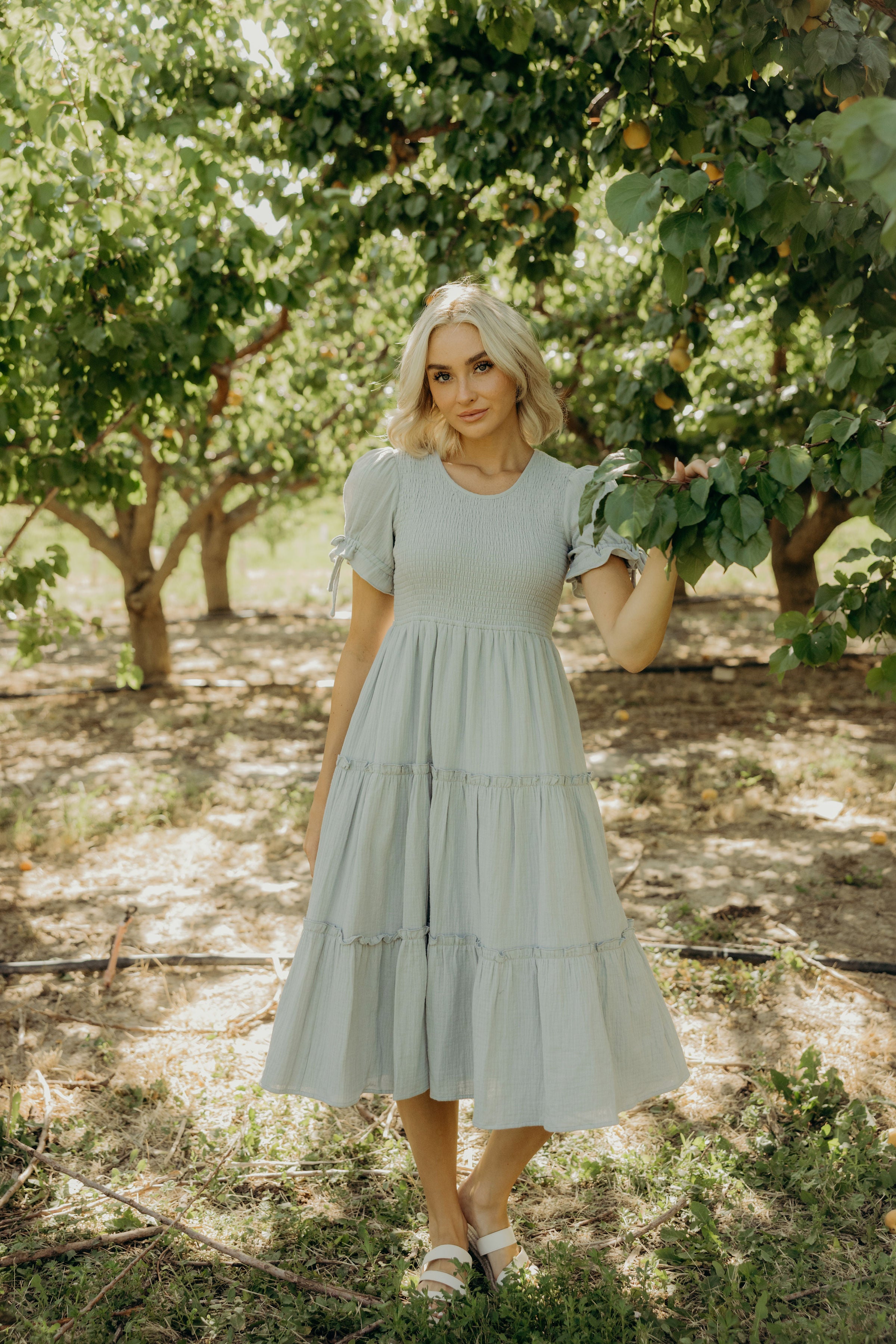 THE MERRITT IN SUMMER SONG