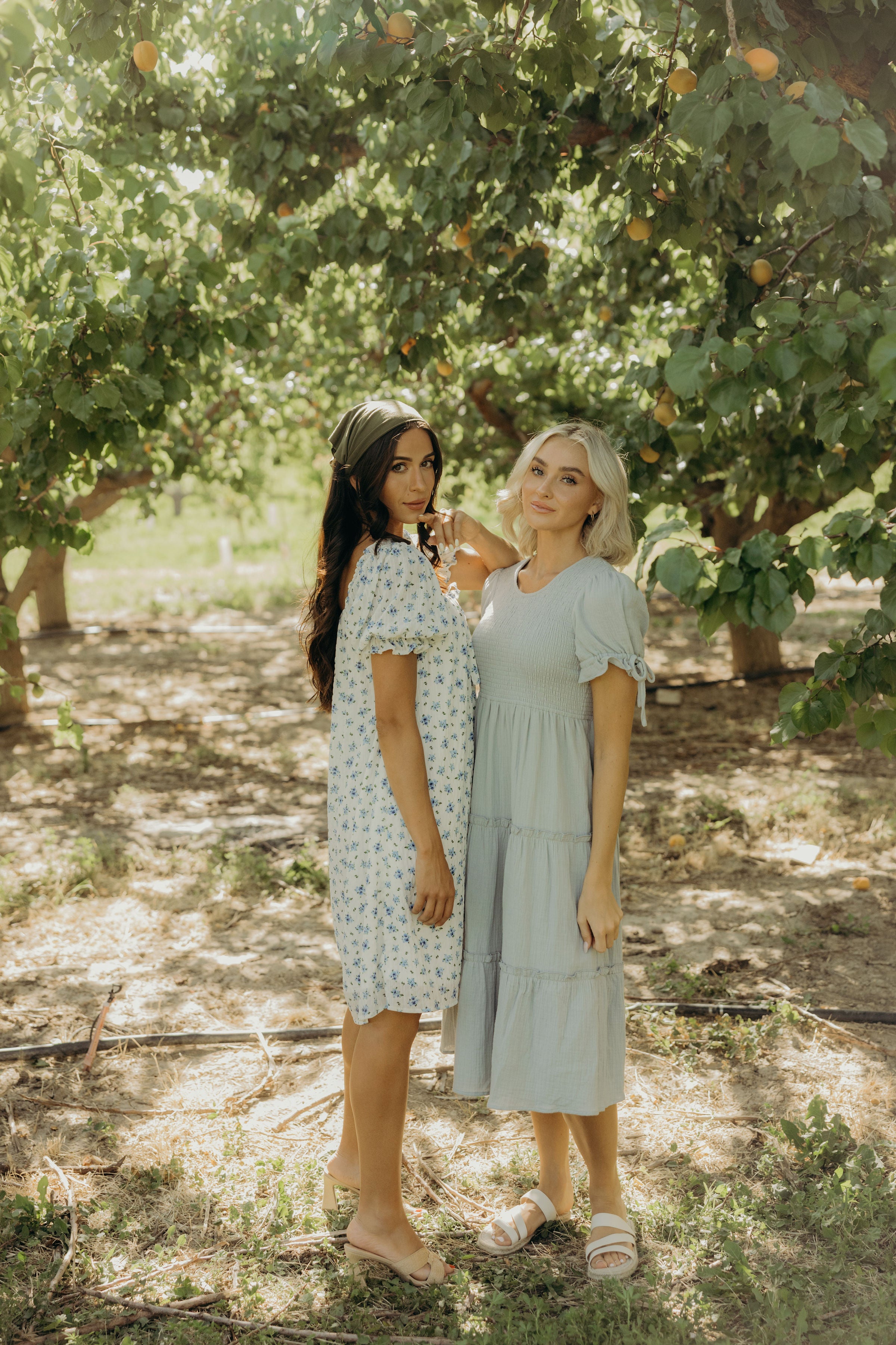 THE MERRITT IN SUMMER SONG