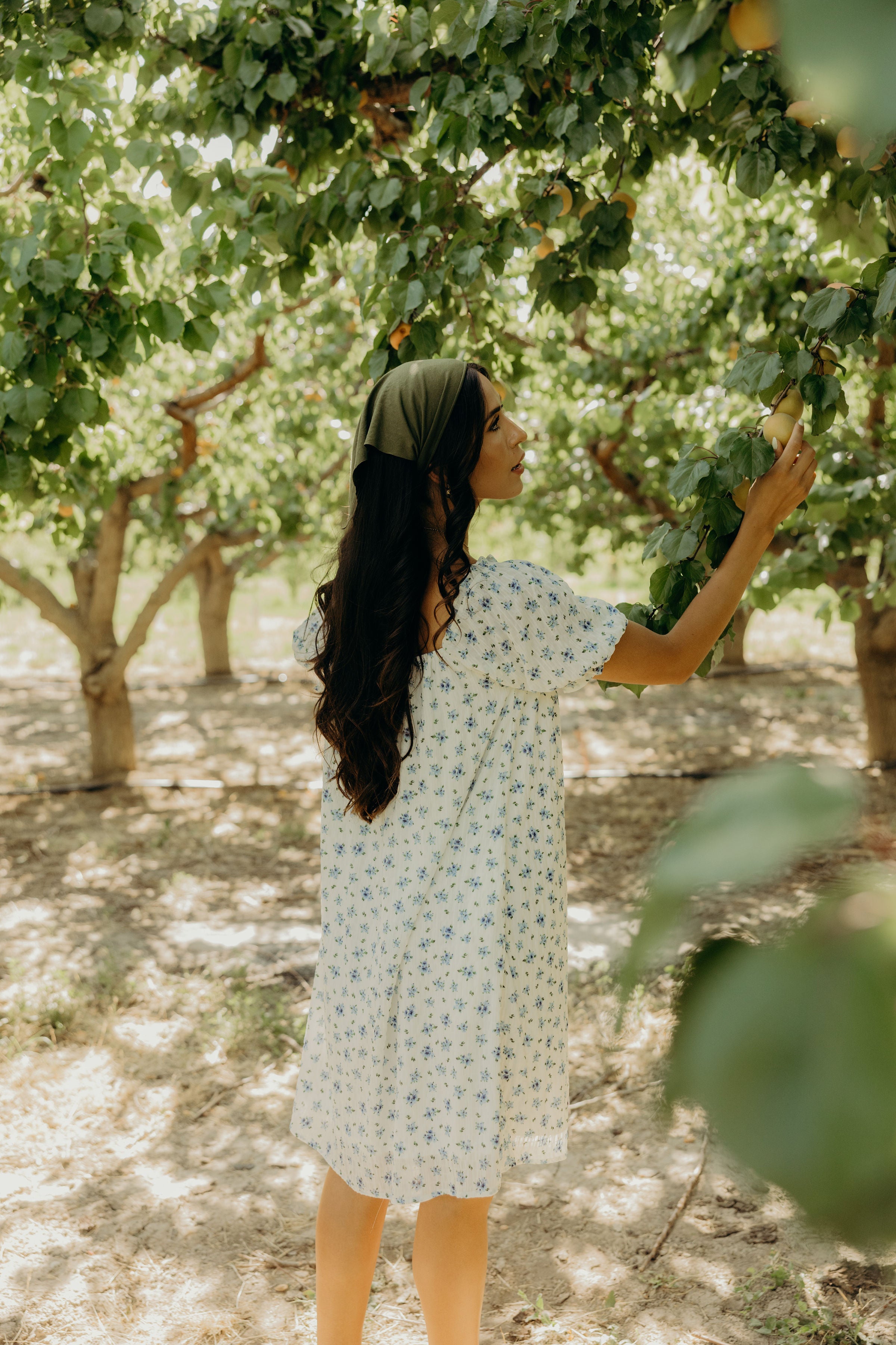 THE MITCHELL IN BLUE BUNDLES