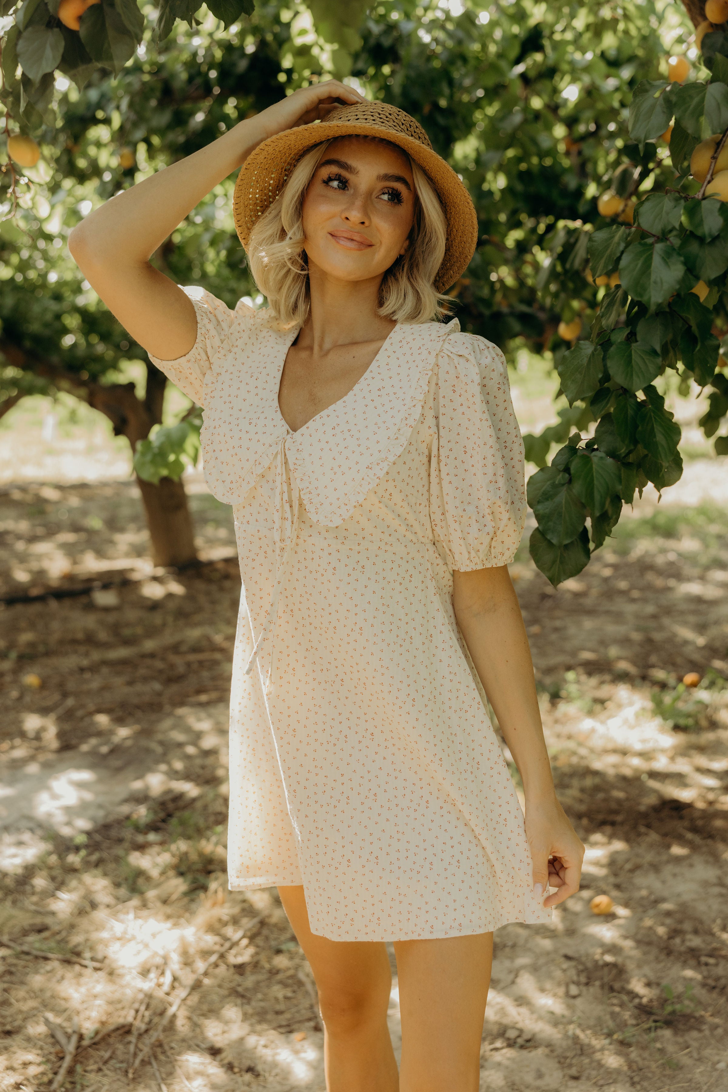 The Lyla Dress 2XL The Lyla Dress 2XL