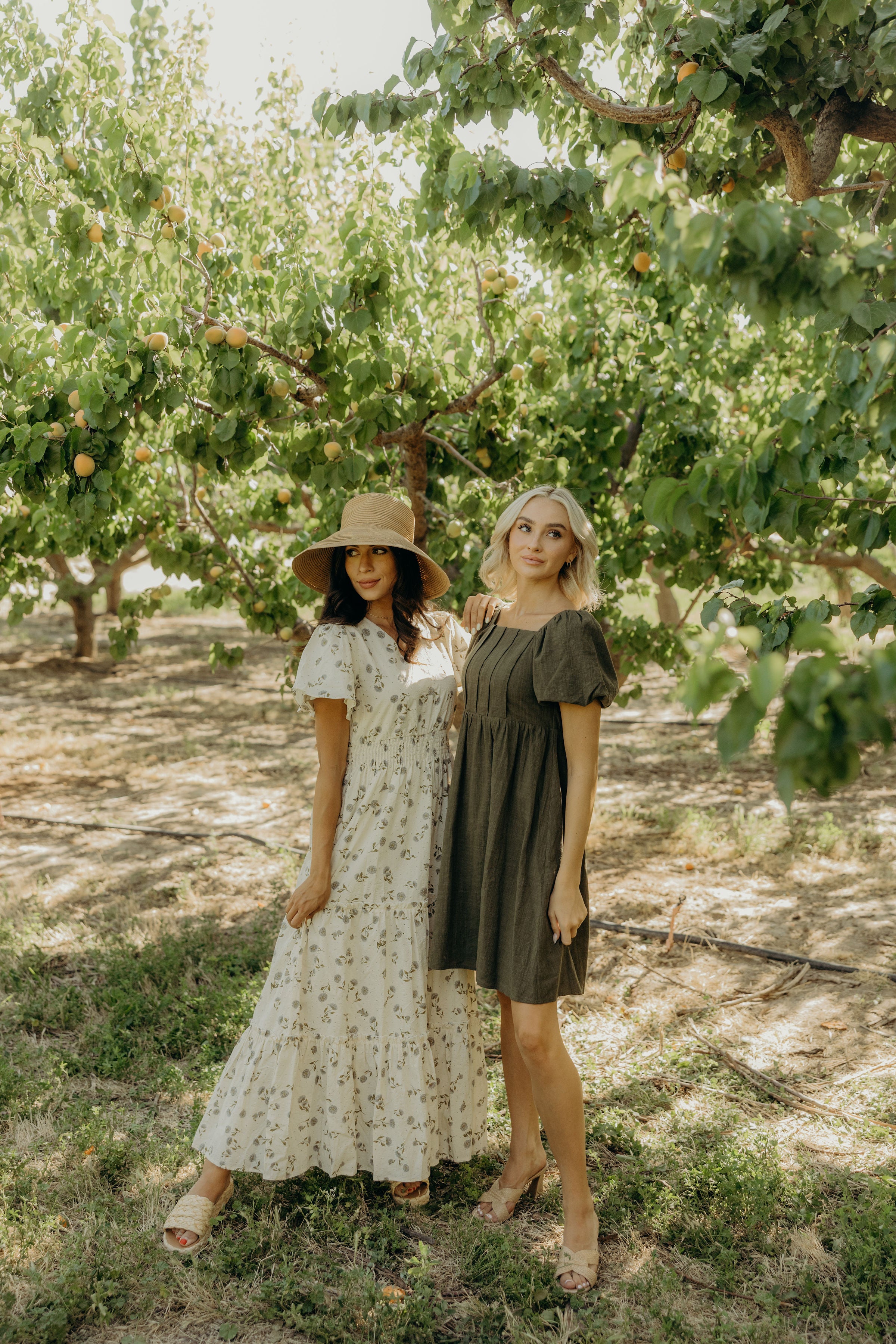 mikarose dresses The Honor in Chive