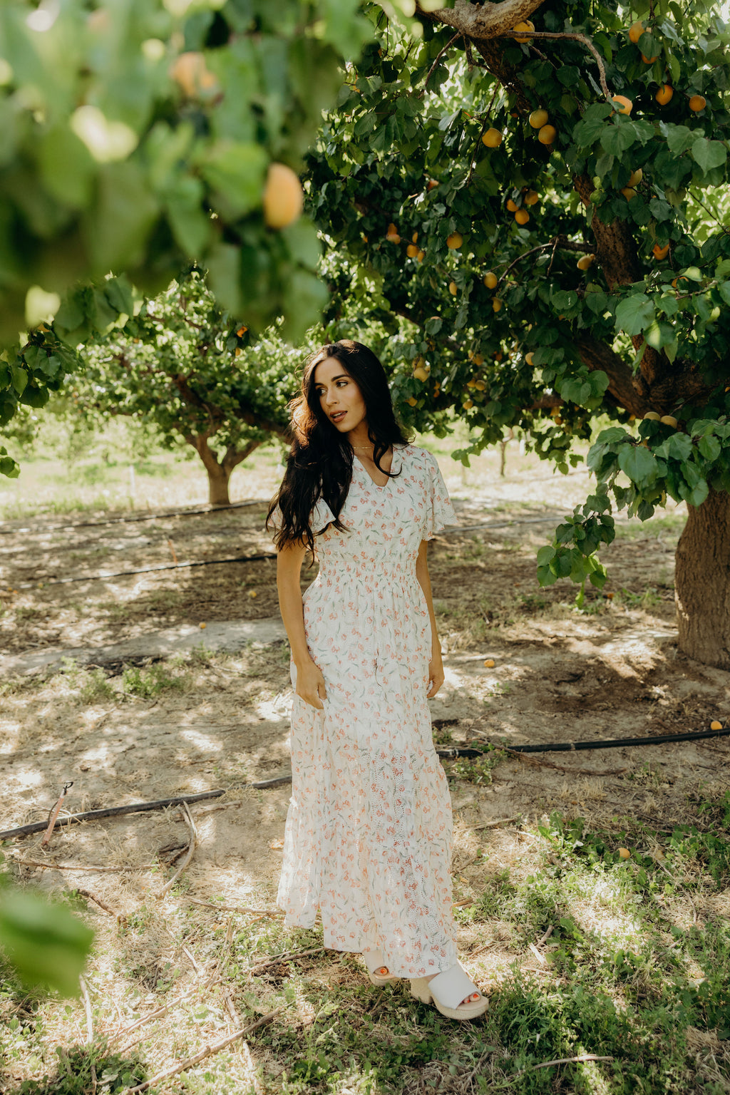 THE EDEN IN STRAWBERRY THICKET