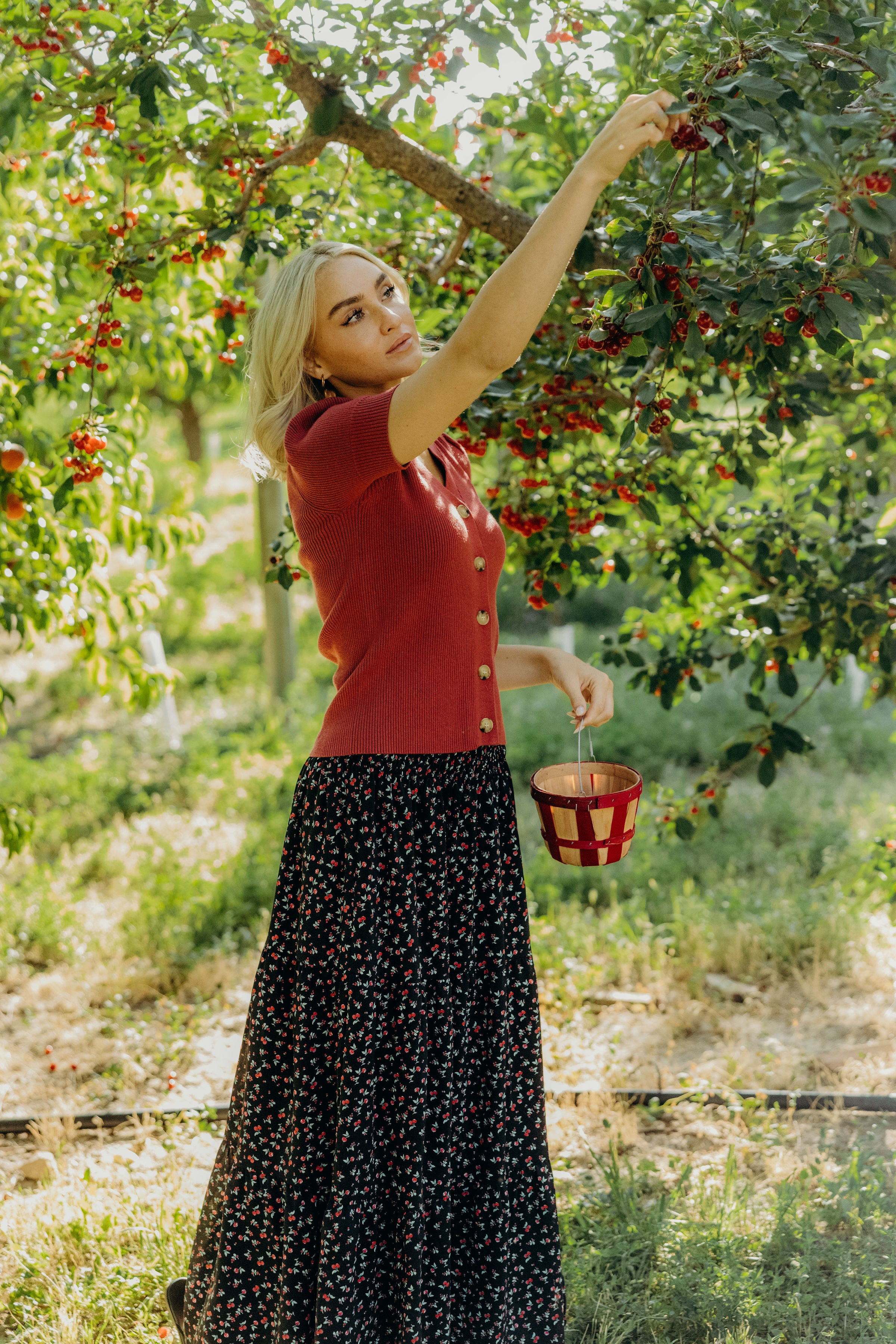 SHORT SLEEVE CARDIGAN IN RED BUD