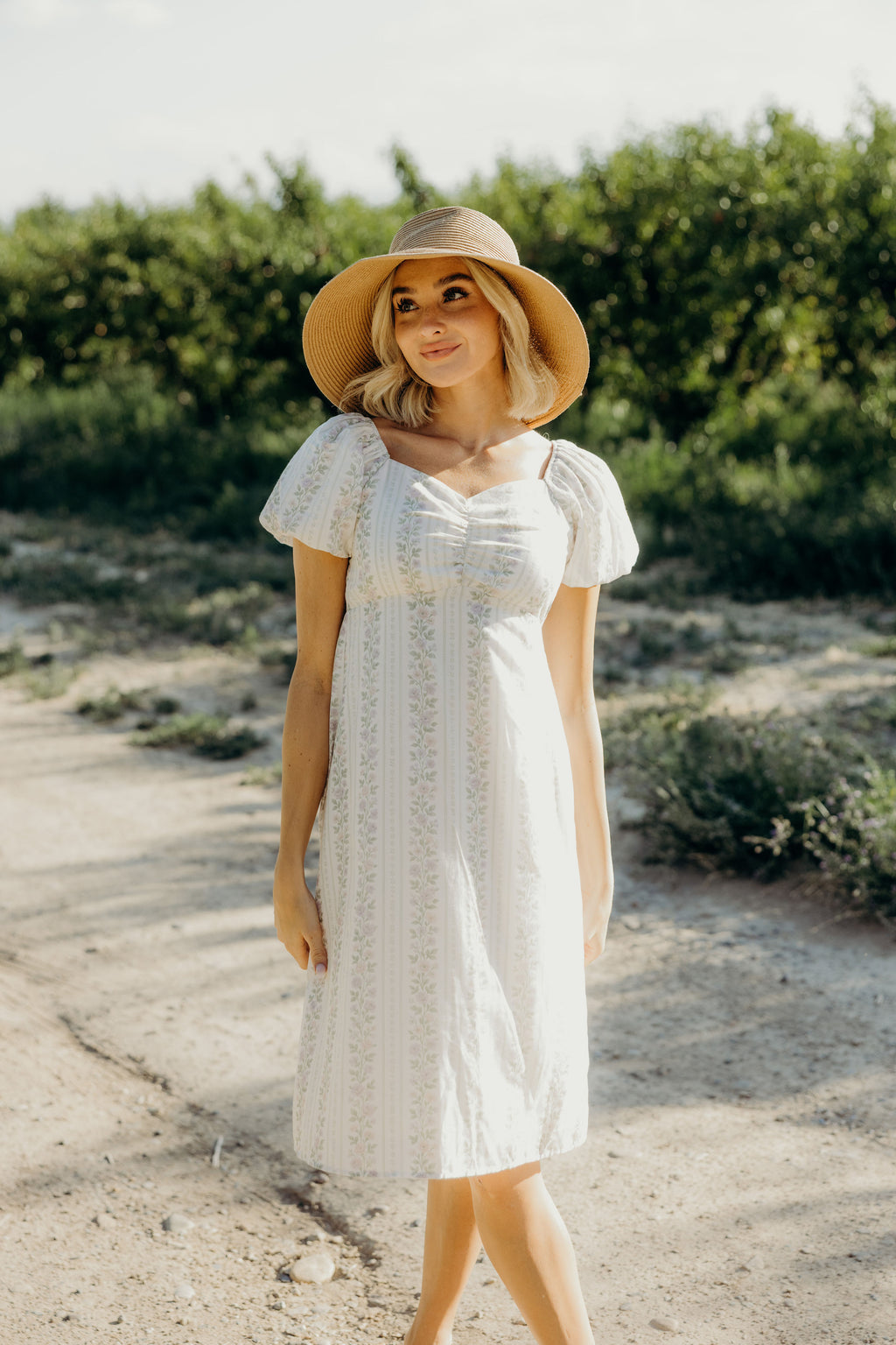 THE TUESDAY IN LILAC VINE FINAL SALE