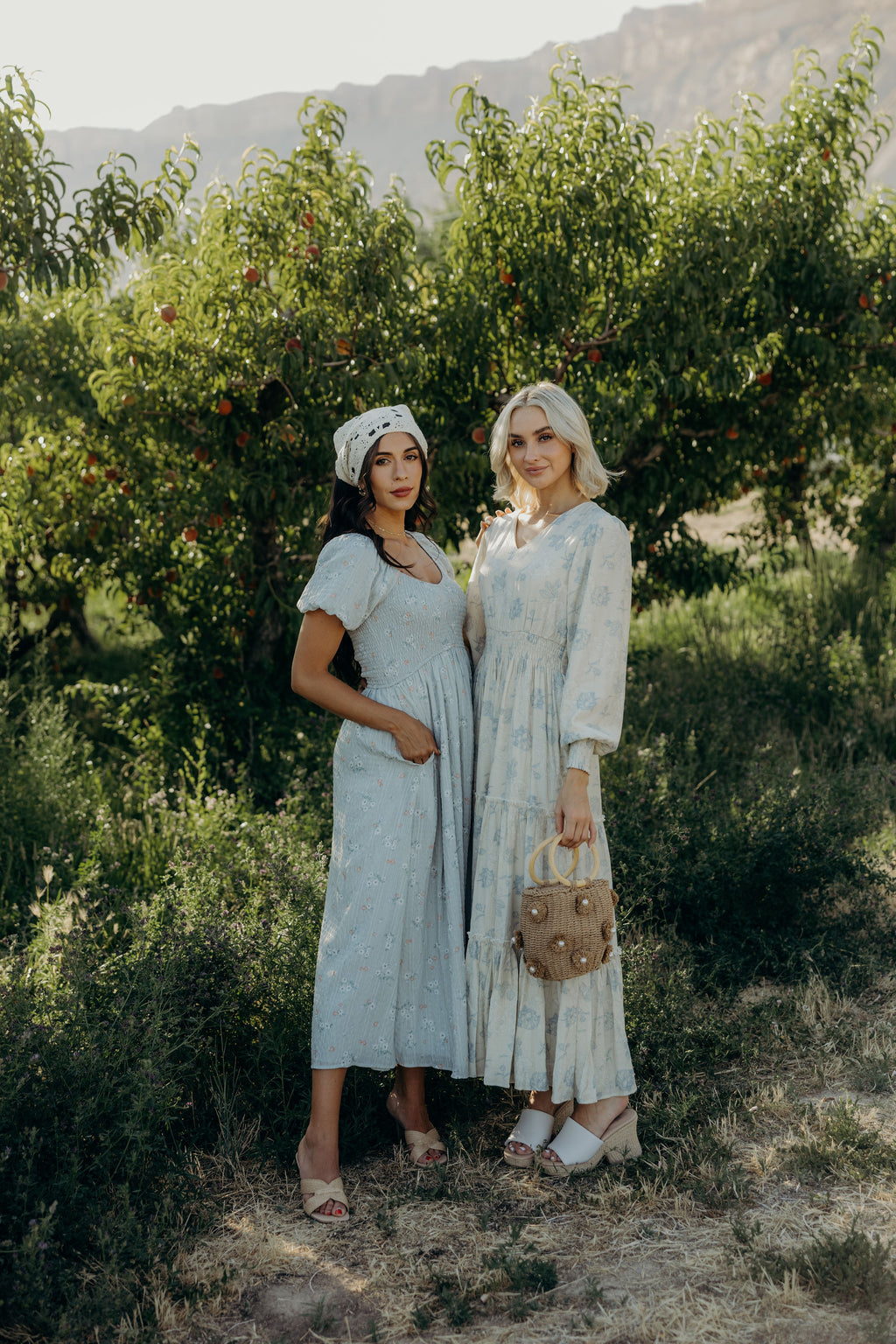 THE MILEY IN MORNING MEADOW