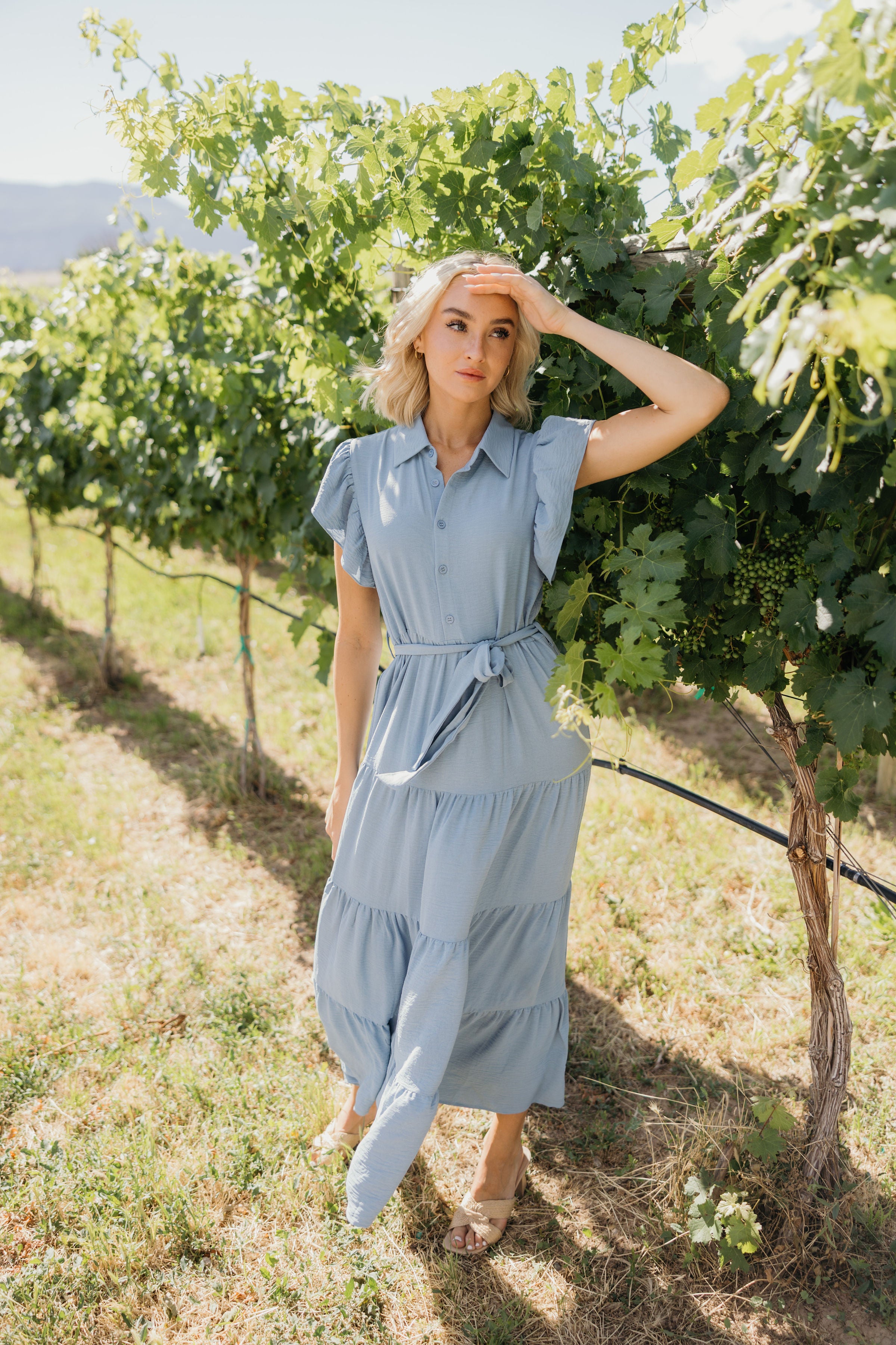 Modest Dresses for Spring 2XL Modest Dresses for Spring 2XL