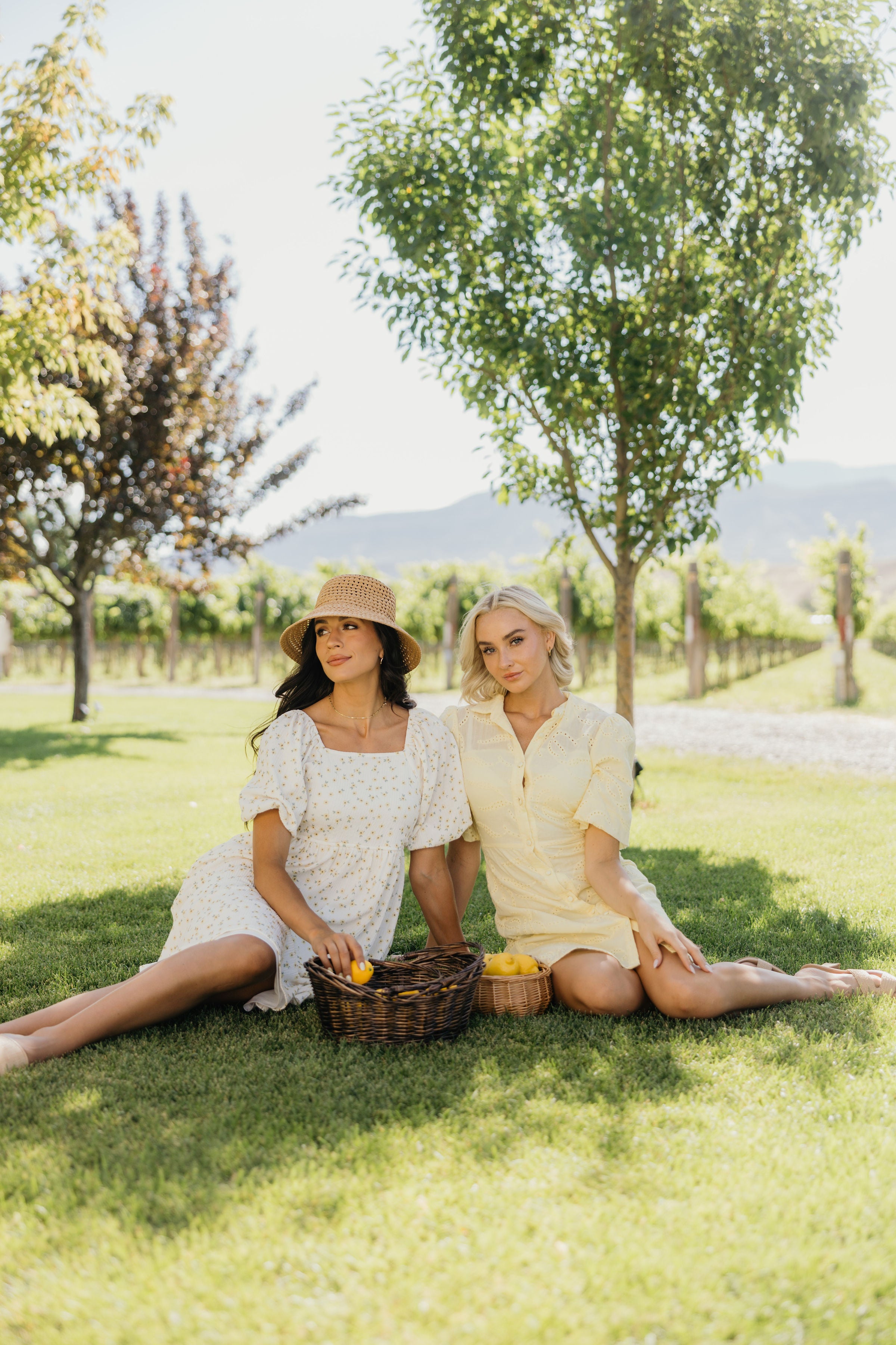 THE STERLING IN LEMON