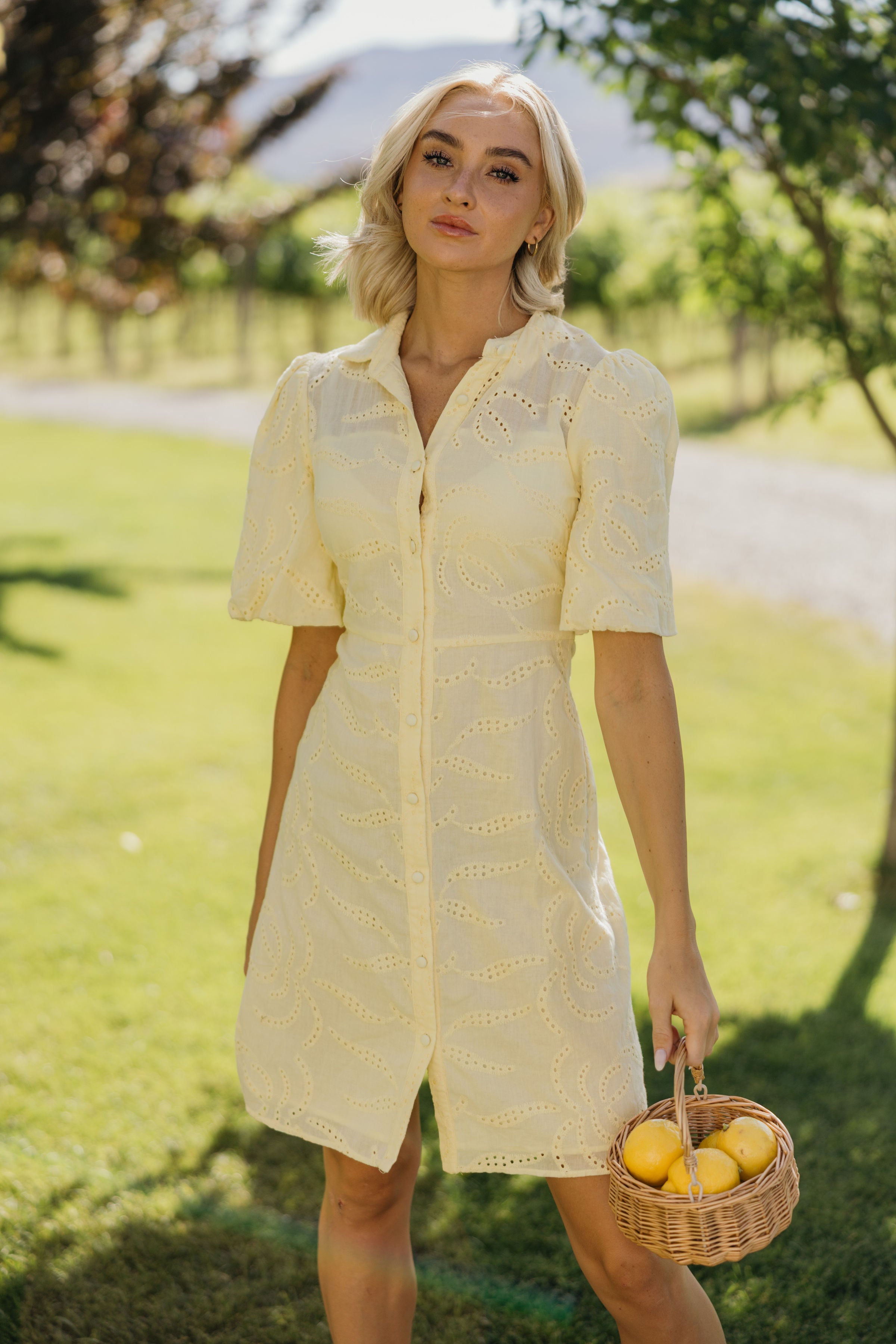 THE STERLING IN LEMON