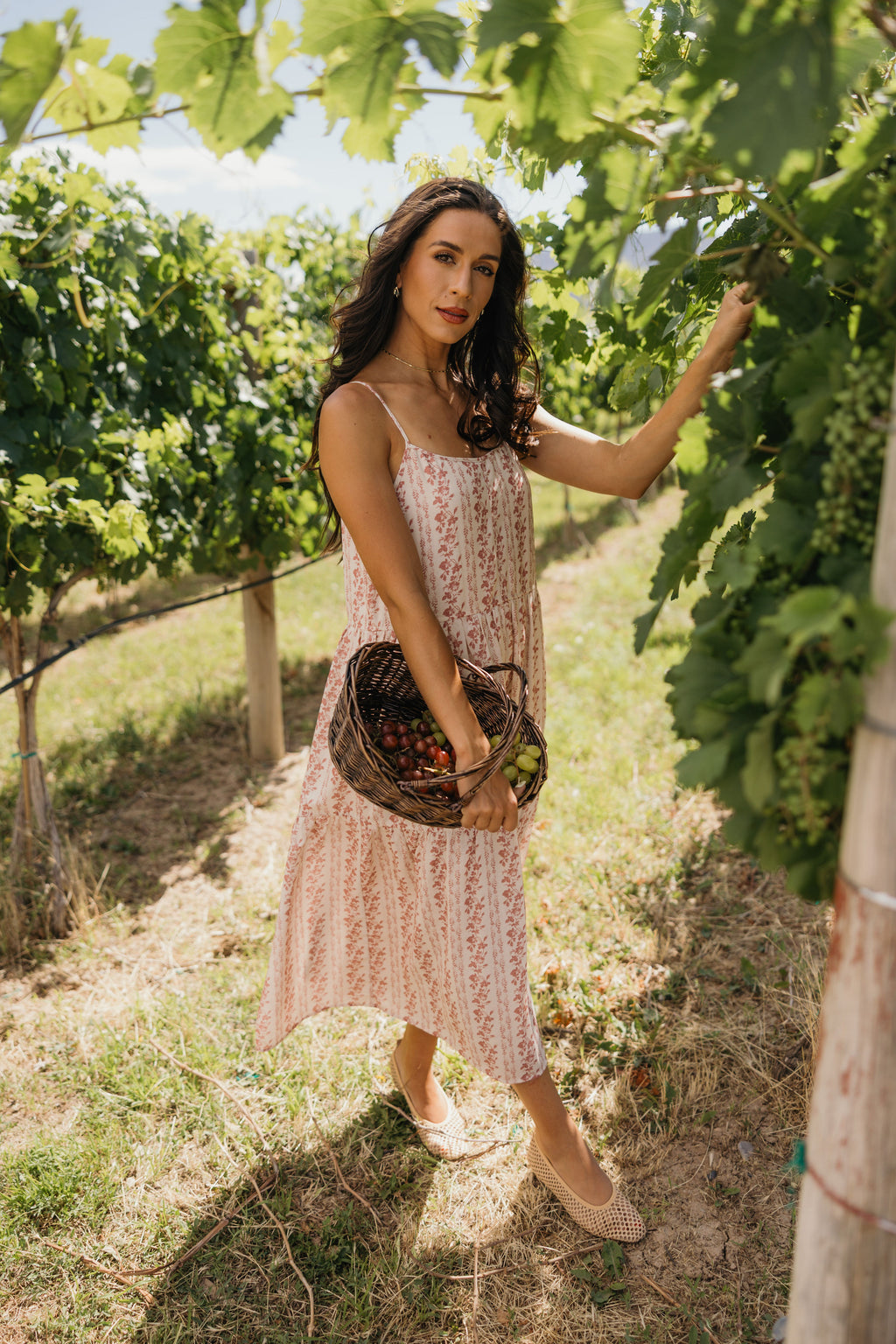 THE COLLYNS IN PETAL SCRIPT