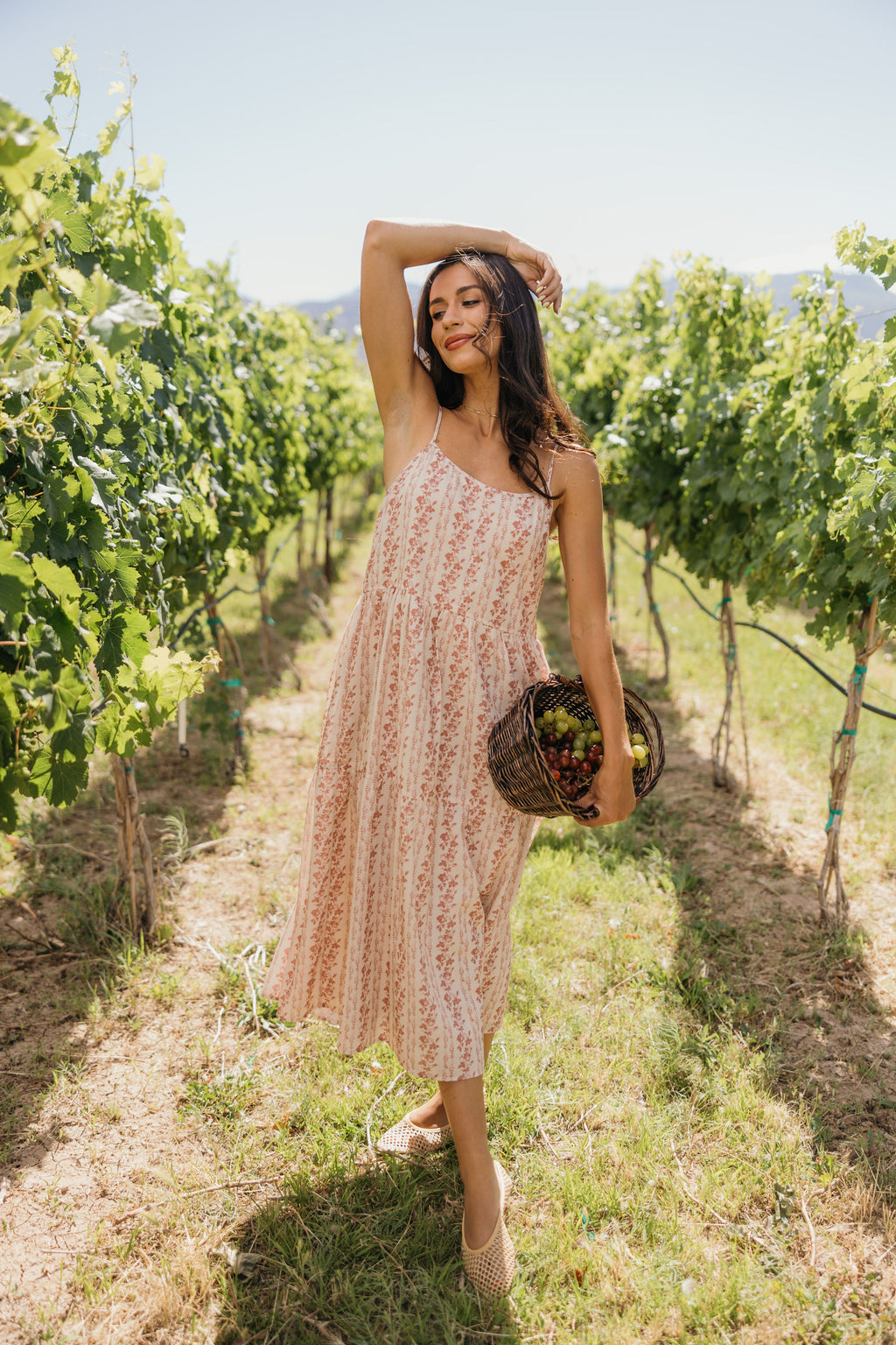 THE COLLYNS IN PETAL SCRIPT