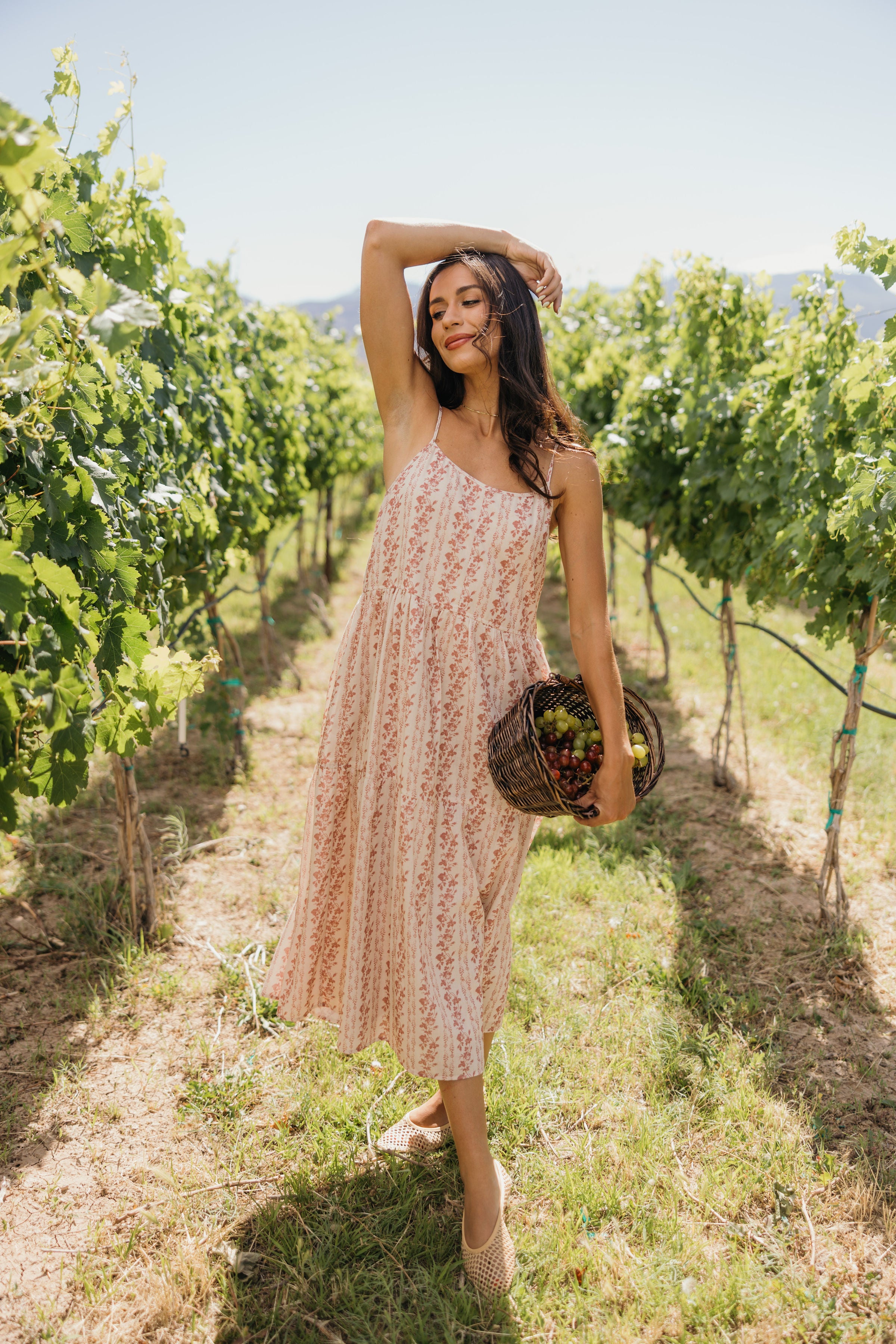 THE COLLYNS IN PETAL SCRIPT