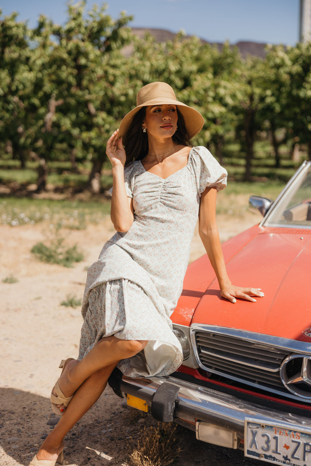 THE HAWTHORN IN PALE PISTACHIO FINAL SALE