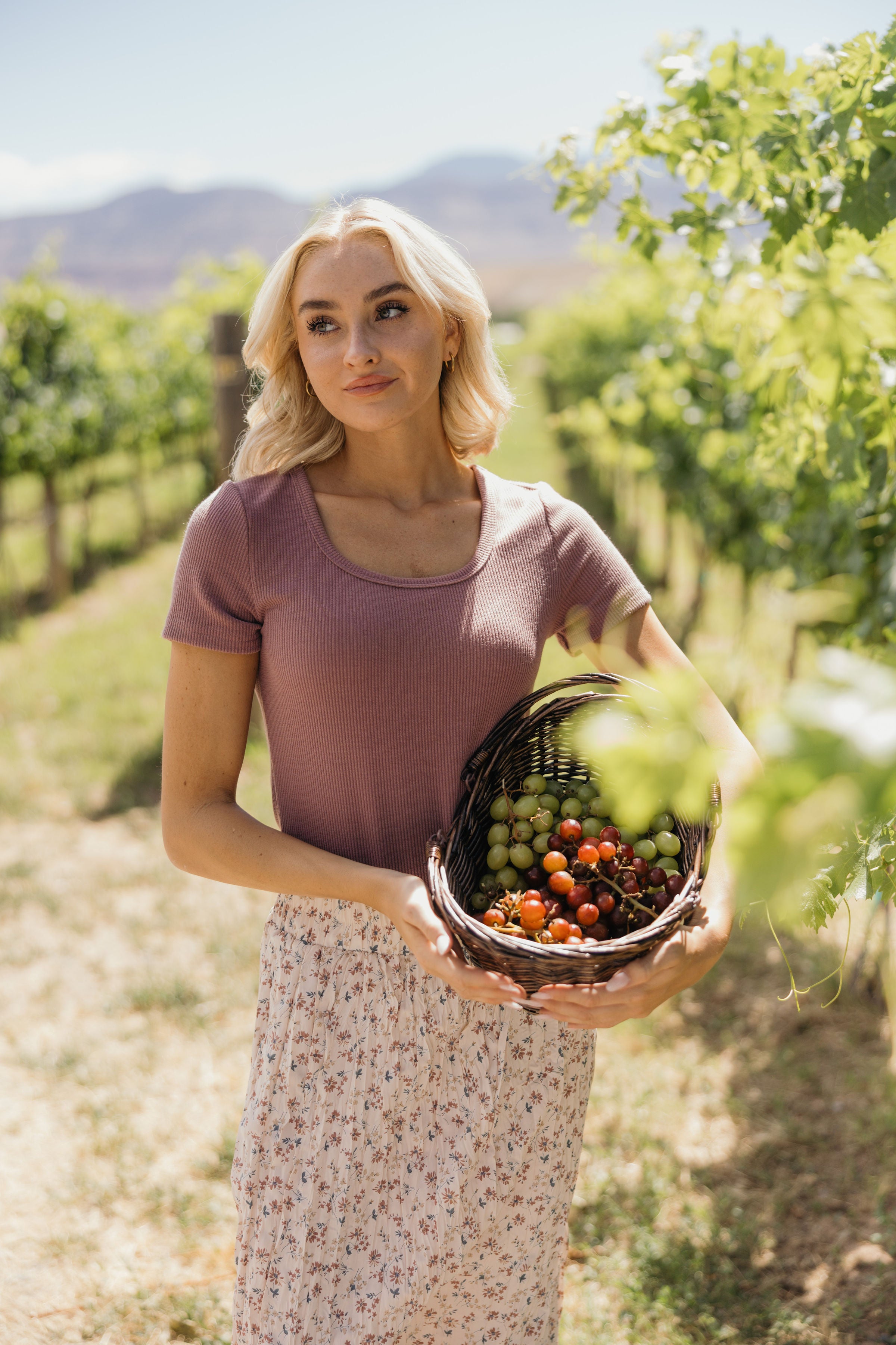 RIBBED SWEATER SCOOP TEE IN FADED FIG FINAL SALE